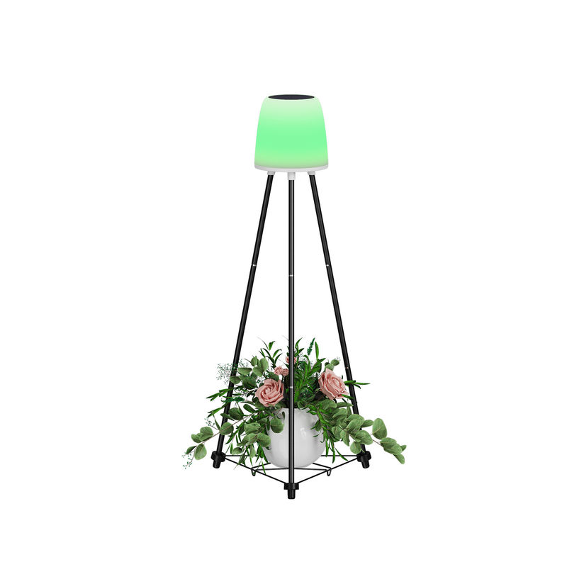 0.2W Iluminación solar de Navidad 0.3kg Caja interna Tamaño 22*20*40.5CM G.W 1.9KG